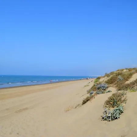 In Near Sandy Marbella